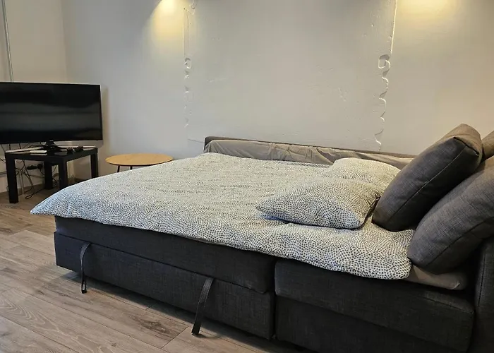 Draugyste Apartment Siauliai 