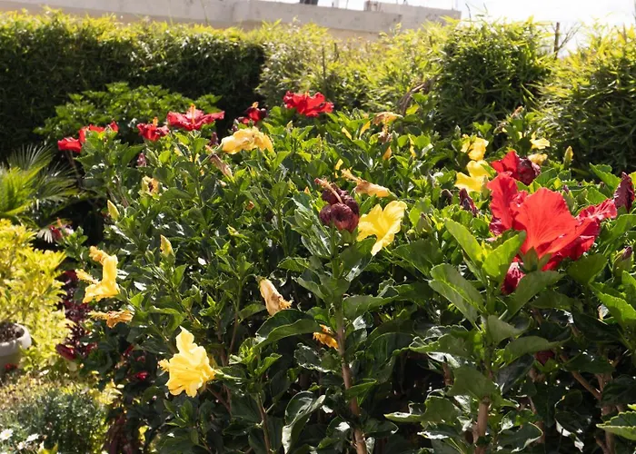 Hospedaje El Girasol Tababela Quito