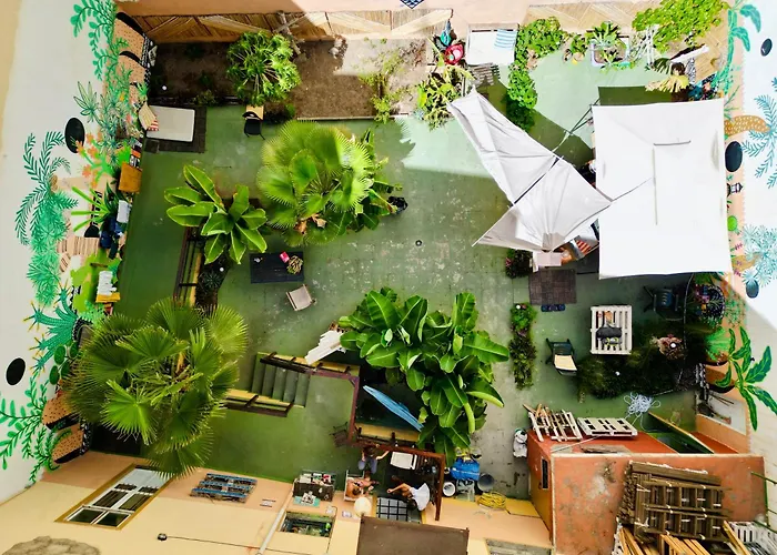 Jungle House Hostel Las Palmas de Gran Canaria