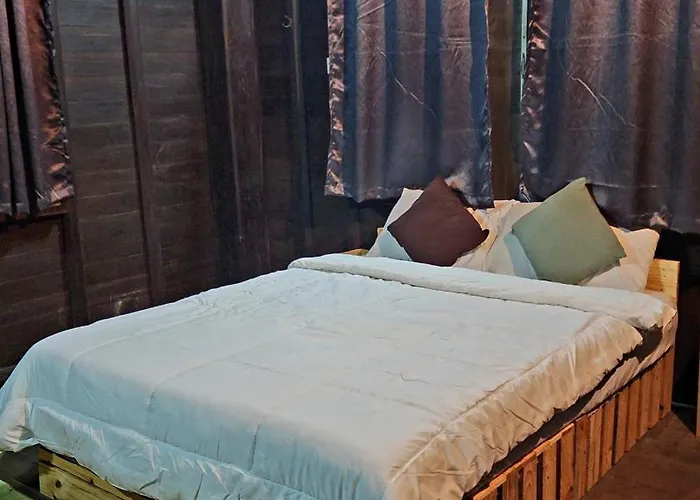 Cozy Nest Cnx Hostel Chiang Mai