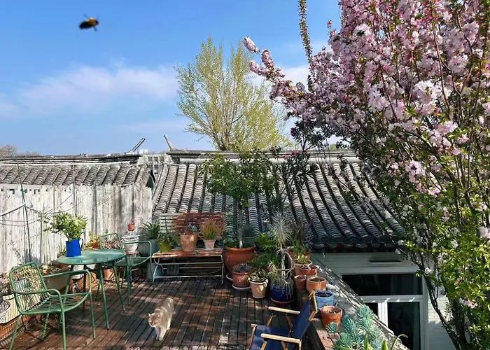 Peking Garden Siheyuan Boutique Hotel-Forbidden City&Beihai Park&Historic Hutong-Traditionnal Yard&Sunshine Terrace&Tea House&Home Kitchen