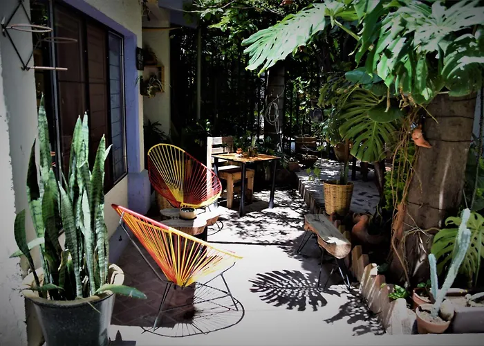 The Roots Flat Oaxaca Centro Apartment