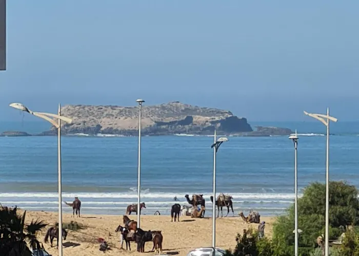 Appartement Avec Vue Sur Mer Essaouira