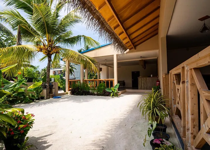 Beach Lily Dhigurah Dhigurah 