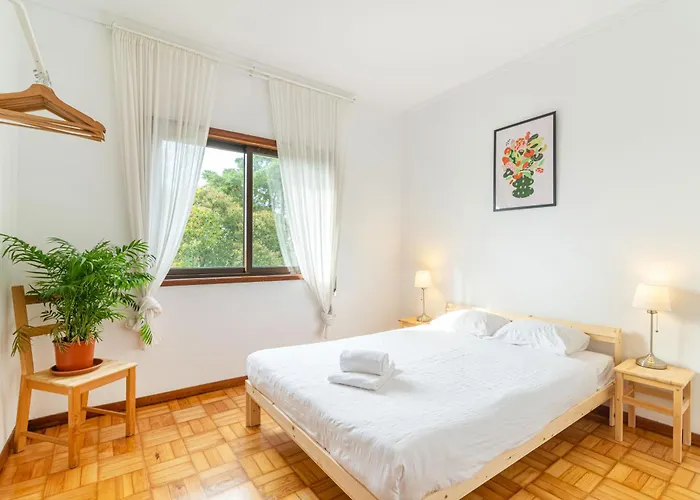 Bonfim Sunny Vintage Apartment Porto
