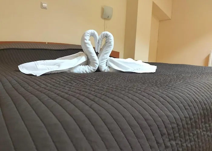 Hotel Express Predeal