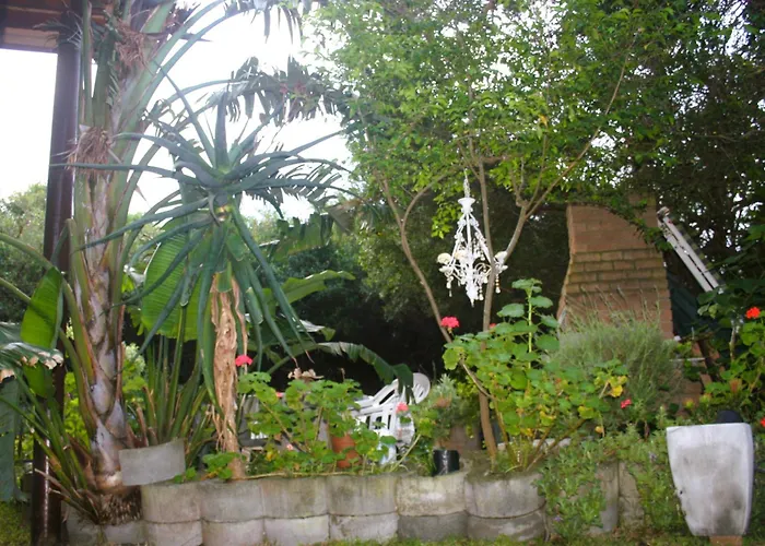 Peace Haven Trappie Huis Sedgefield