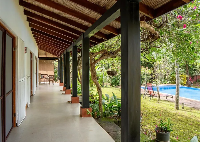 Casa Mapache Pool And Breakfast Available Near Tamarindo Beach