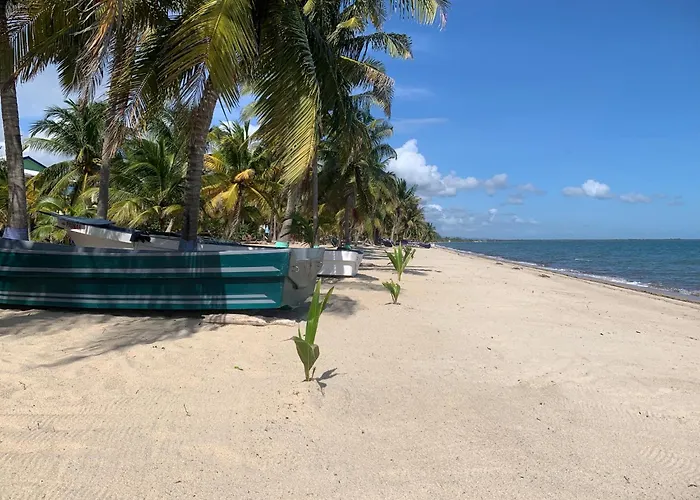 All Seasons Belize Hopkins