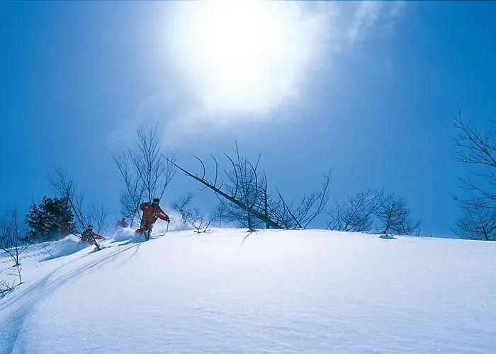 Community House Tyrolien Hotel Hakuba