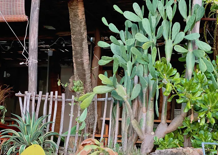 Soho 1 Phu Quoc Apartment