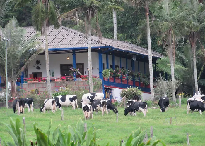 Reserva Guadalajara - Authentic Farm In Cocora Valley Salento