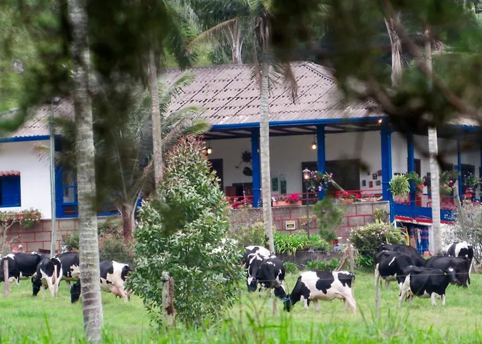 Reserva Guadalajara - Authentic Farm In Cocora Valley Salento