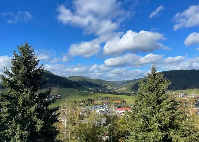 Studio Tonbachblick Baiersbronn