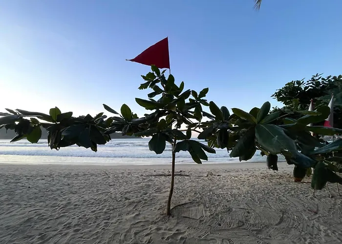 Camp Talisay Bed & Breakfast El Nido
