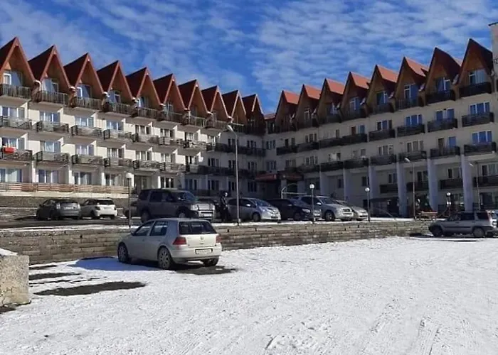 Sunny Valley Apartment Bakuriani