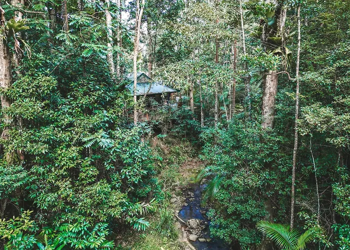 Narrows Escape Rainforest Retreat Montville