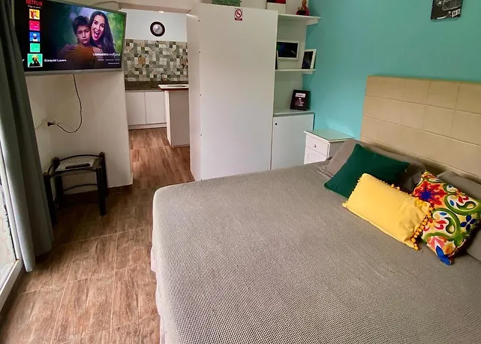 Loft Avis Apartment San Luis