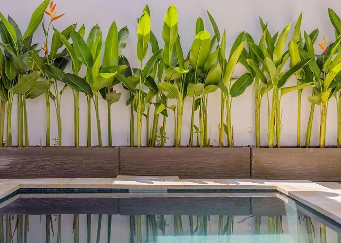 Villa Phoenix Brand New 1Br In Umalas, Bali Seminyak 