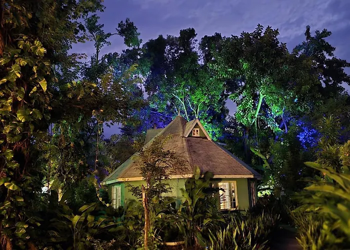 Bak A Yaad Villa Negril