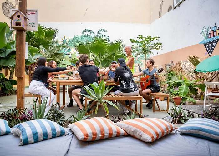 Jungle House Hostel Las Palmas de Gran Canaria
