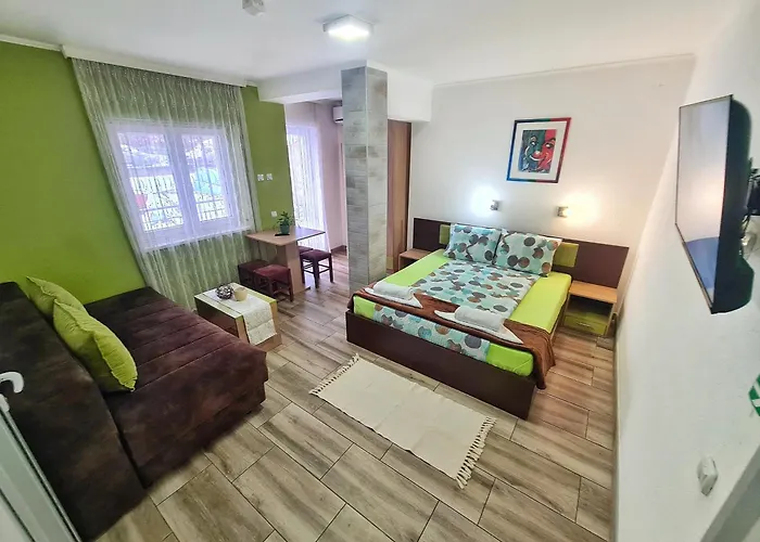 Vila Aleksandra 2 Studio 8 Soko Banja