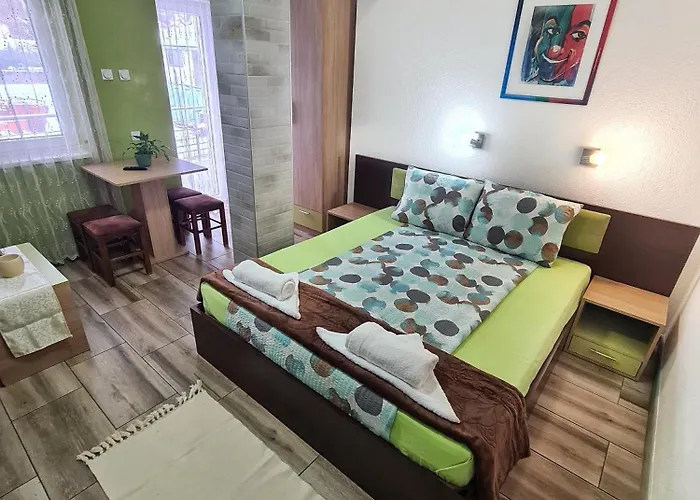 Vila Aleksandra 2 Studio 8 Soko Banja