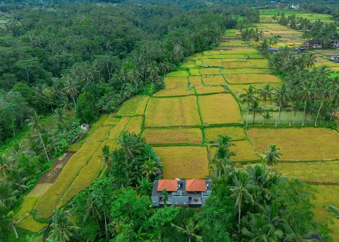 The Alus Cottage And Villa Ubud 
