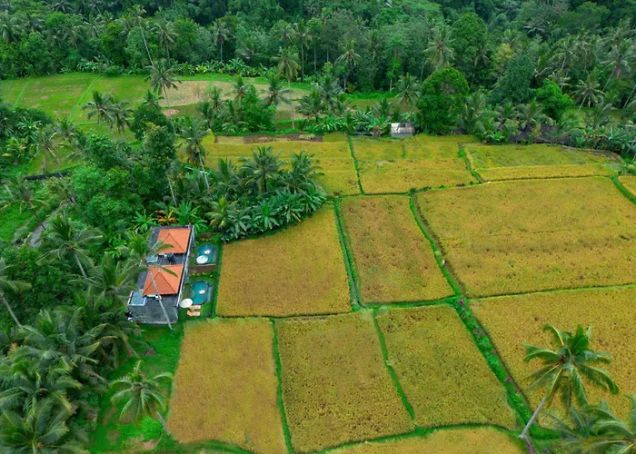 The Alus Cottage And Villa Ubud 