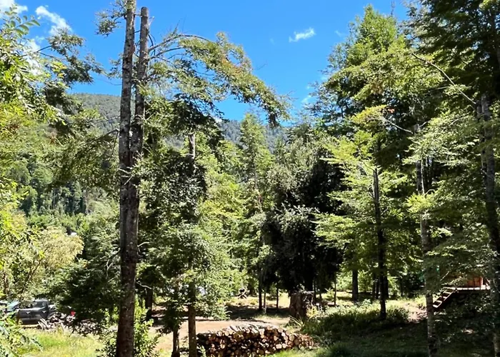Cabanas Namoncahue Pucon
