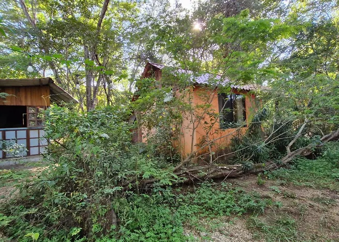 Pachamama Bio Hostel Tamarindo
