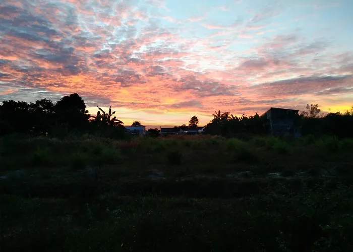 Lotus Farm Retreat Apartment Ho Chi Minh City