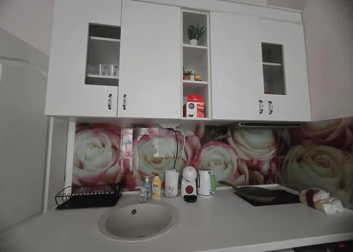 Roses Apartment Sofia