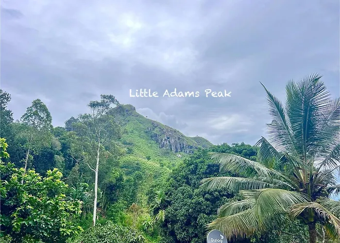 Ella Adam'S Heaven Bed & Breakfast