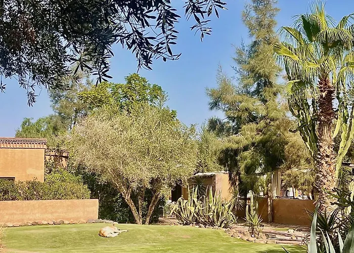 Manzil La Tortue Bed & Breakfast Douar Caid Layadi