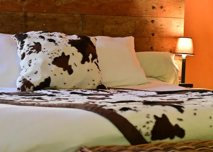 Prehistoric Lodge - Adult Only Vallon-Pont-d'Arc