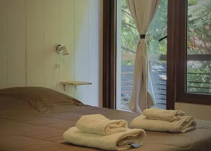 Dos Ambientes Centrico Apartment San Martín de los Andes