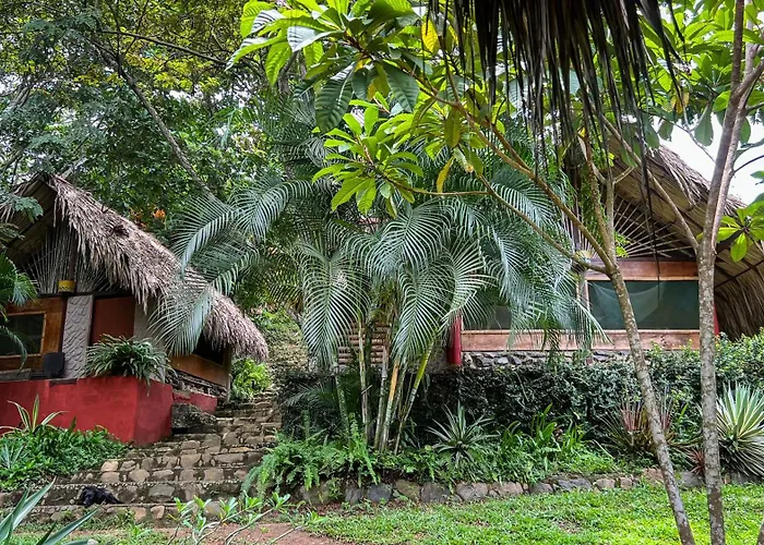 Ave De Montana Cabanas El Zaino