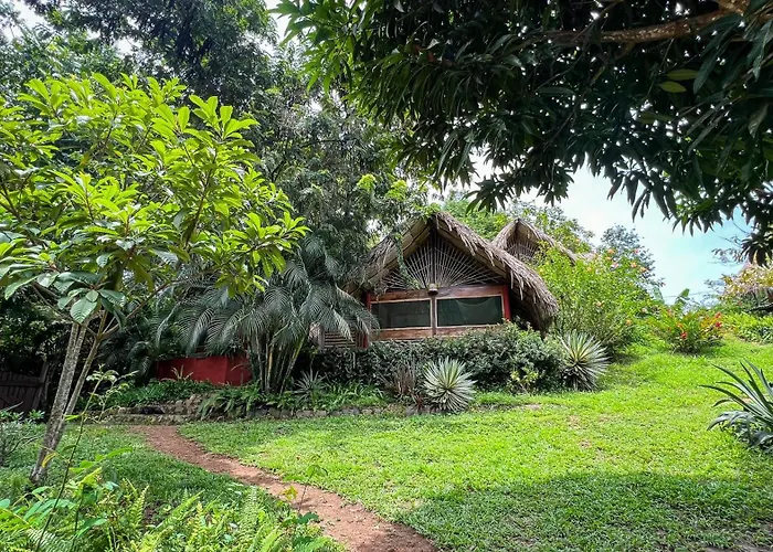 Ave De Montana Cabanas El Zaino