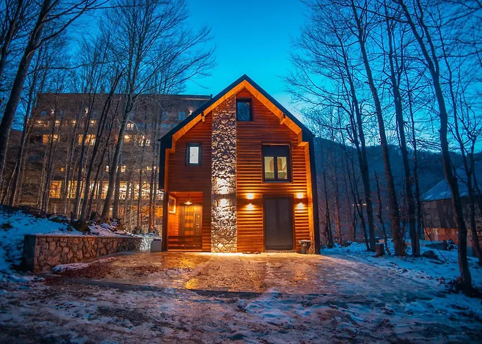 Villa Noar, Cozy 4Br Mountain W, Fireplace, Lake View, Brezovica
