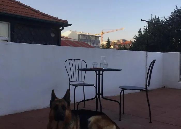 Porto'S Secret Backyard Apartment