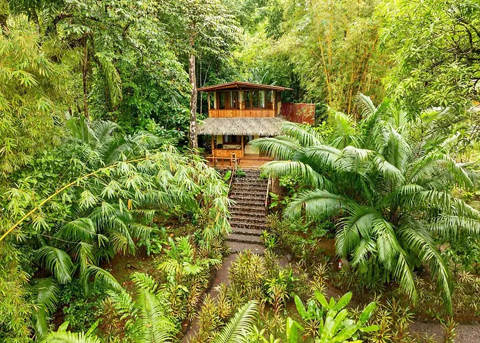 Copa De Arbol Beach & Rainforest Resort Drake Bay