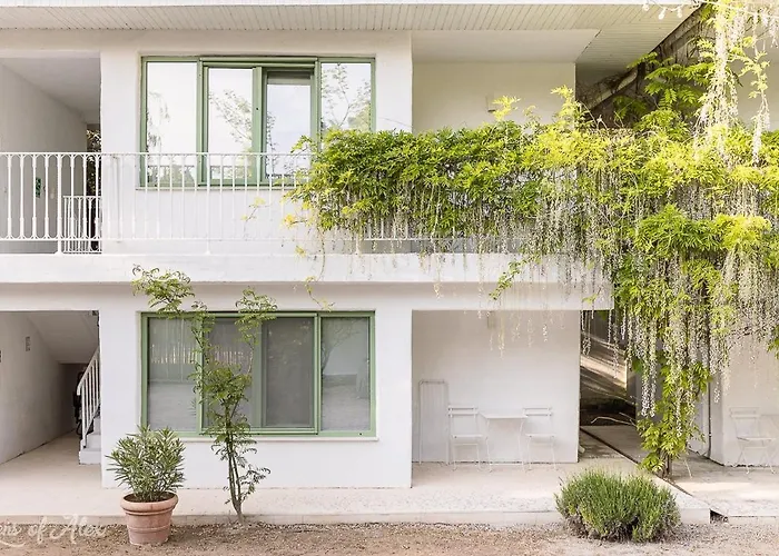 Casa De Mare Hotel Olimp