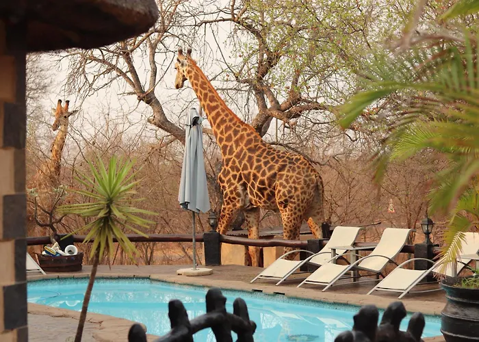 B&B African Rock Lodge Hoedspruit