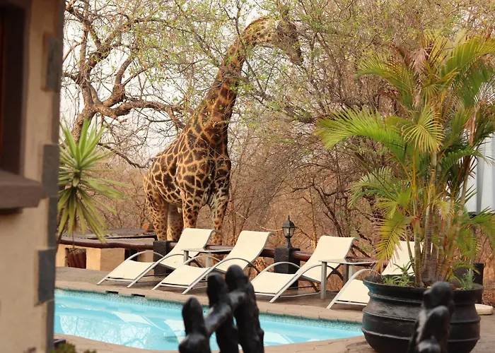 B&B African Rock Lodge Hoedspruit