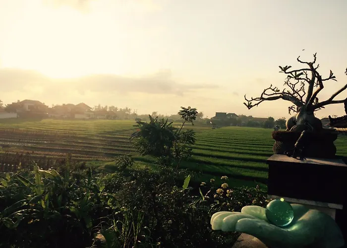 4Br 300M2 Whole House Walking Distance From Finns Beach Club Canggu 