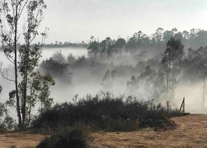 Cabana Bosque Tunquen Valparaíso