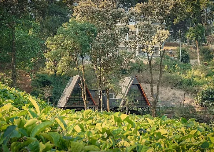 Forestscape Resort Munnar