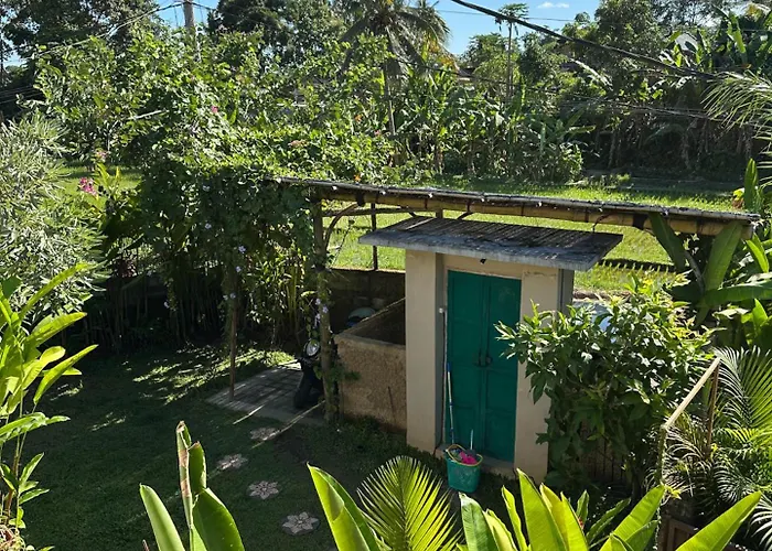 The Little Bloom At Springfield Petulu Villa Ubud 