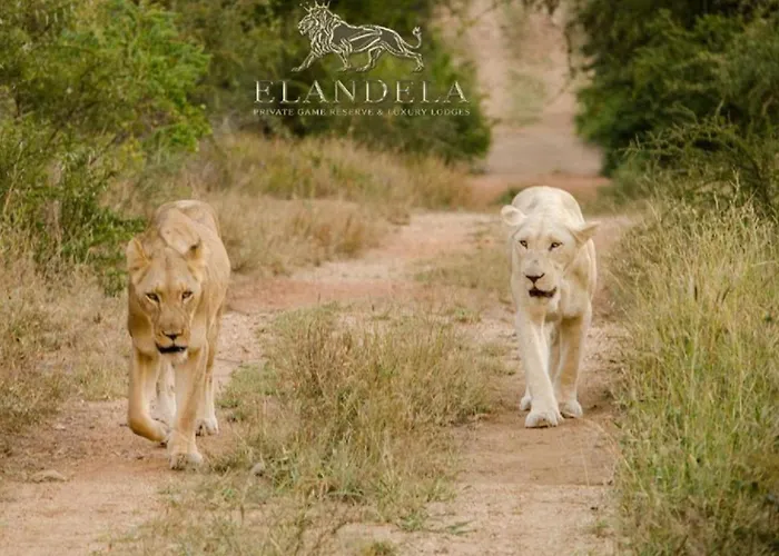 Elandela Private Game Reserve And Luxury Lodges Pty Ltd Hoedspruit